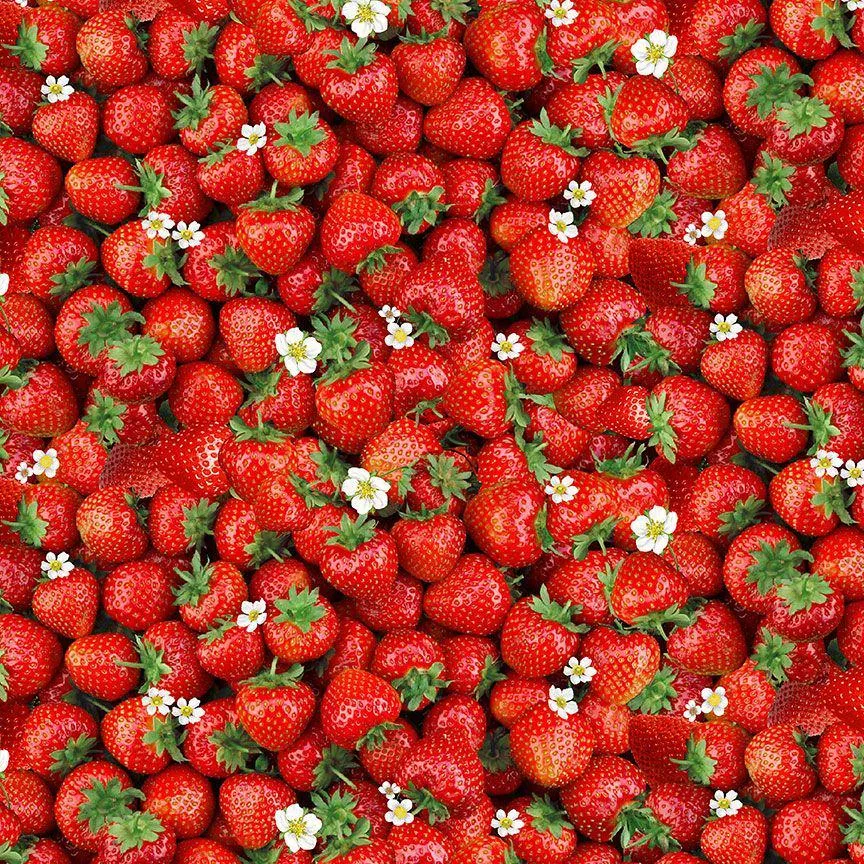 Fraisier, Amande et Pistache
